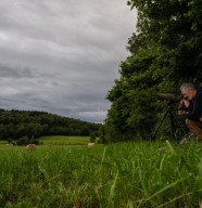Soir�es aff�t et observation de la faune sauvage