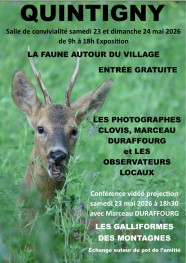 La Faune autour du village