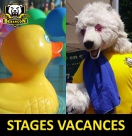 Stages de natation enfants