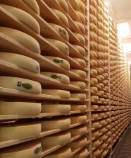 Visite guid�e de la fruiti�re du Pays Grandvallier