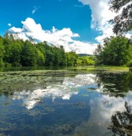 Visite-randonn�e : Le marais de Sa�ne