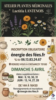 Atelier plantes m�dicinales
