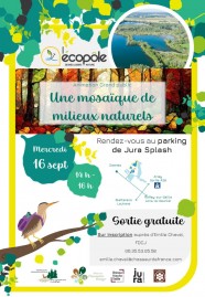 Sortie nature : Une mosa�que de milieux naturels