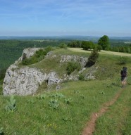 Quand la nuit s'�veille