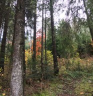 F�te des Sentiers du Doubs - Val d'Or Vernois