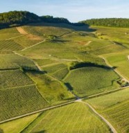 Randonn�e : La Grappe Vernoisienne