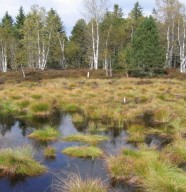 Randonn�e D�couverte des enjeux de la tourbi�re du Verbois