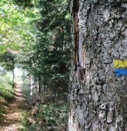 Les 100 km du Plateau