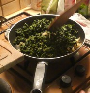 Cuisine sauvage, cueillette et d�gustation