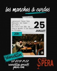 Les manches � cordes