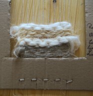 Fibres textiles : D�couverte et observation des fibres et des mati�res