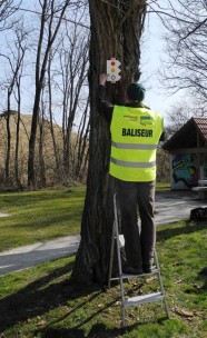 Tout savoir sur le balisage