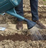 Atelier : �conomiser l'eau au jardin