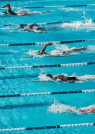 Natation : Championnat Nord Franche-Comt�