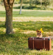 Atelier participatif : Dans ma valise