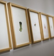 Atelier : Un dessin comme Jean-Luc Bari