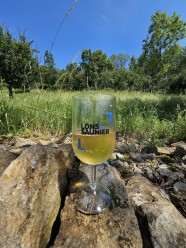 Balade guid�e : De la vigne au caveau