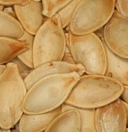 Faire ses semences de l�gumes et fleurs