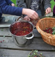Reconnaissance des baies sauvages