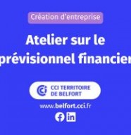 Atelier sur le pr�visionnel financier