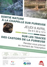 Sur les traces des castors de la Furieuse