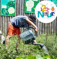Atelier : Un jardin �conome en eau