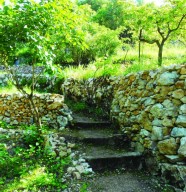 Visite : Au fil des Terrasses en Pierre S�che