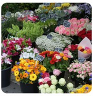 March� aux fleurs