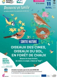 Sortie Nature : Oiseaux des cimes, oiseaux du sol en for�t de Chaux