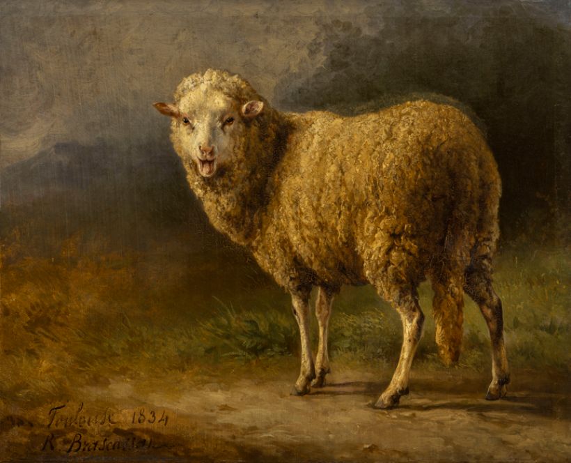 Réalisme animal