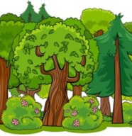 AUTOUR DES ARBRES