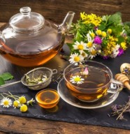 stage : D�couverte des plantes m�dicinales