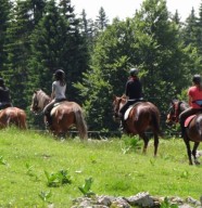 Randonn�e � cheval : niveau d�butant