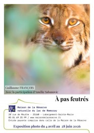 Guillaume FRAN�OIS 