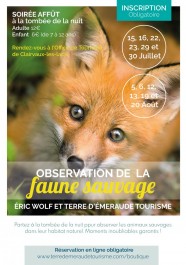 Soir�e observation de la faune sauvage