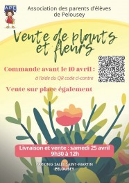 Vente de fleurs et de plants