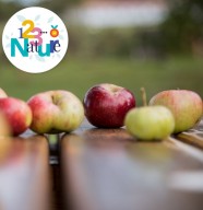 Atelier arboriculture : Tutti Frutti