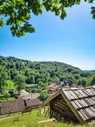 VISITE GUID�E : Parcours-d�couverte au coeur des collections