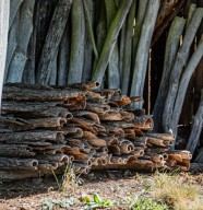VISITE-ATELIER : Land art