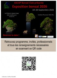 Exposition Biennale de Bonsa�