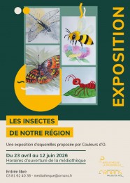 Les insectes de notre r�gion