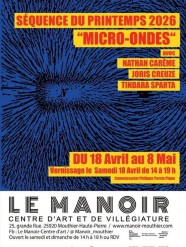 Micro-ondes + BLACKBOX DU MANOIR