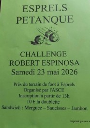 Concours de p�tanque