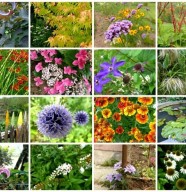 Vente de fleurs de la Toussaint