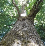 Immersion nature sur 3 jours