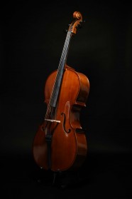 Duo de violoncelle et piano