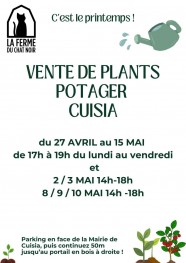 Vente de Plants Potagers
