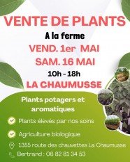 Vente de plants potagers et aromatiques