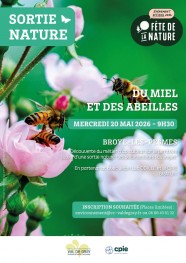 Du miel et des abeilles
