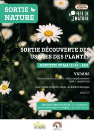 Sortie d�couverte des usages des plantes